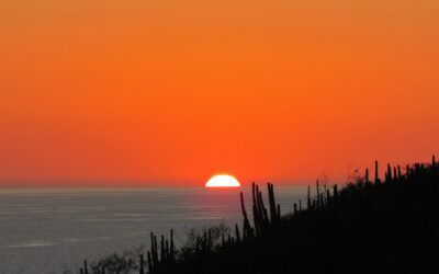 Mejores lugares para ver el atardecer en Palma de Mallorca